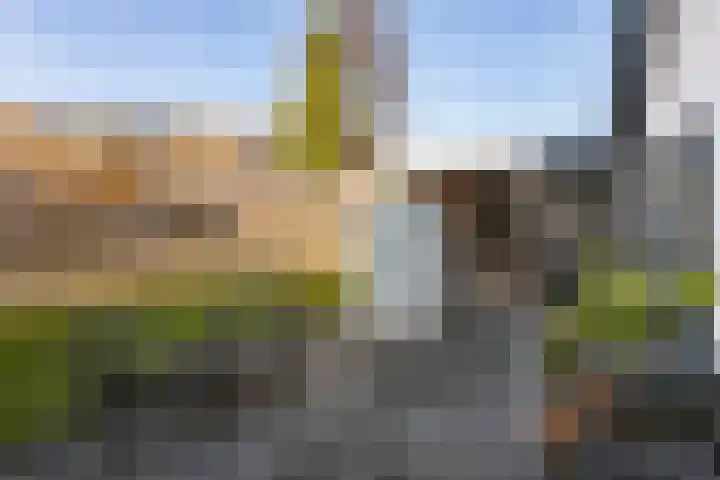 Wilhelminastraat 12 Meteren thumbnail 31