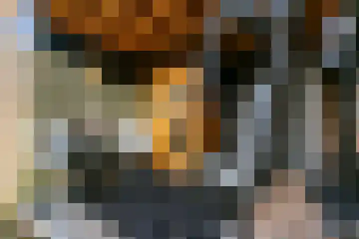 Wilhelminastraat 12 Meteren thumbnail 32