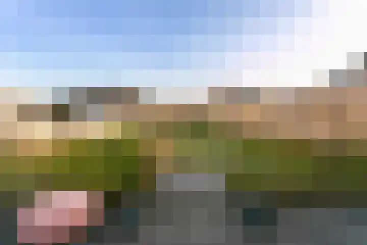 Wilhelminastraat 12 Meteren thumbnail 35