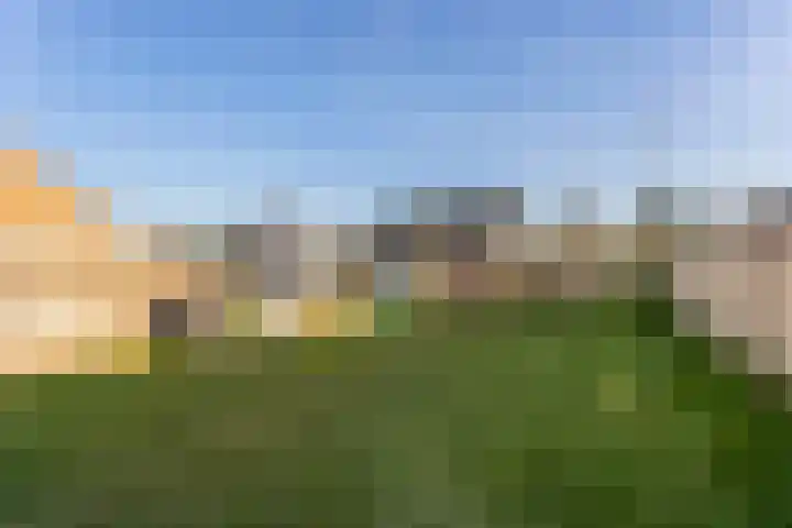 Wilhelminastraat 12 Meteren thumbnail 36