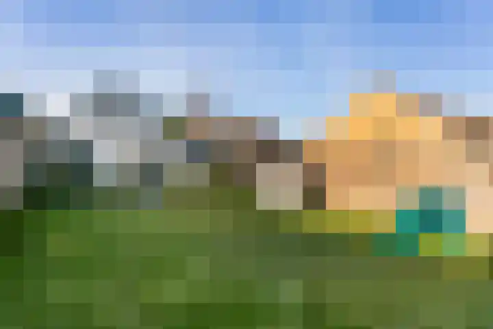 Wilhelminastraat 12 Meteren thumbnail 37