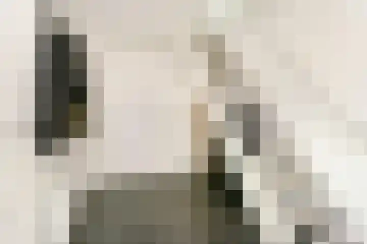 Wilhelminastraat 12 Meteren thumbnail 6