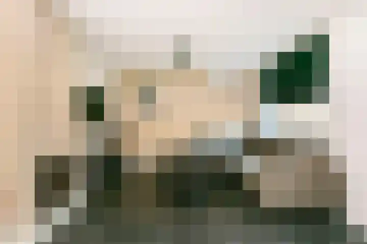 Wilhelminastraat 12 Meteren thumbnail 8
