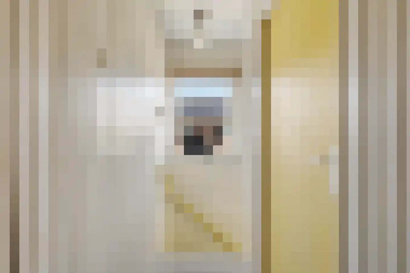 Wilhelminastraat 12 Mill thumbnail 26