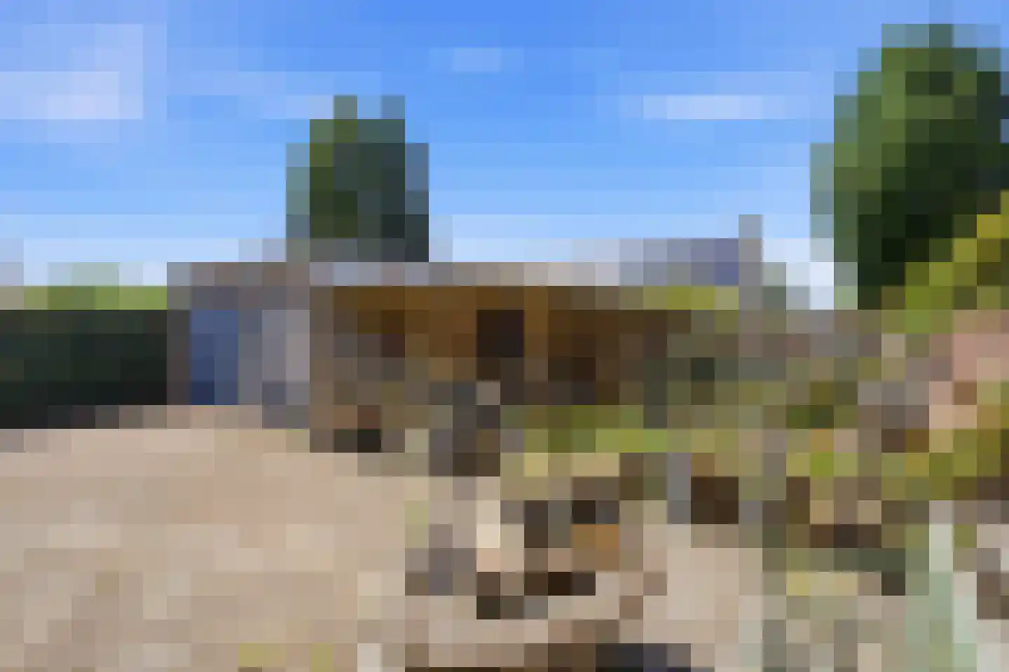 Wilhelminastraat 12 Mill thumbnail 28