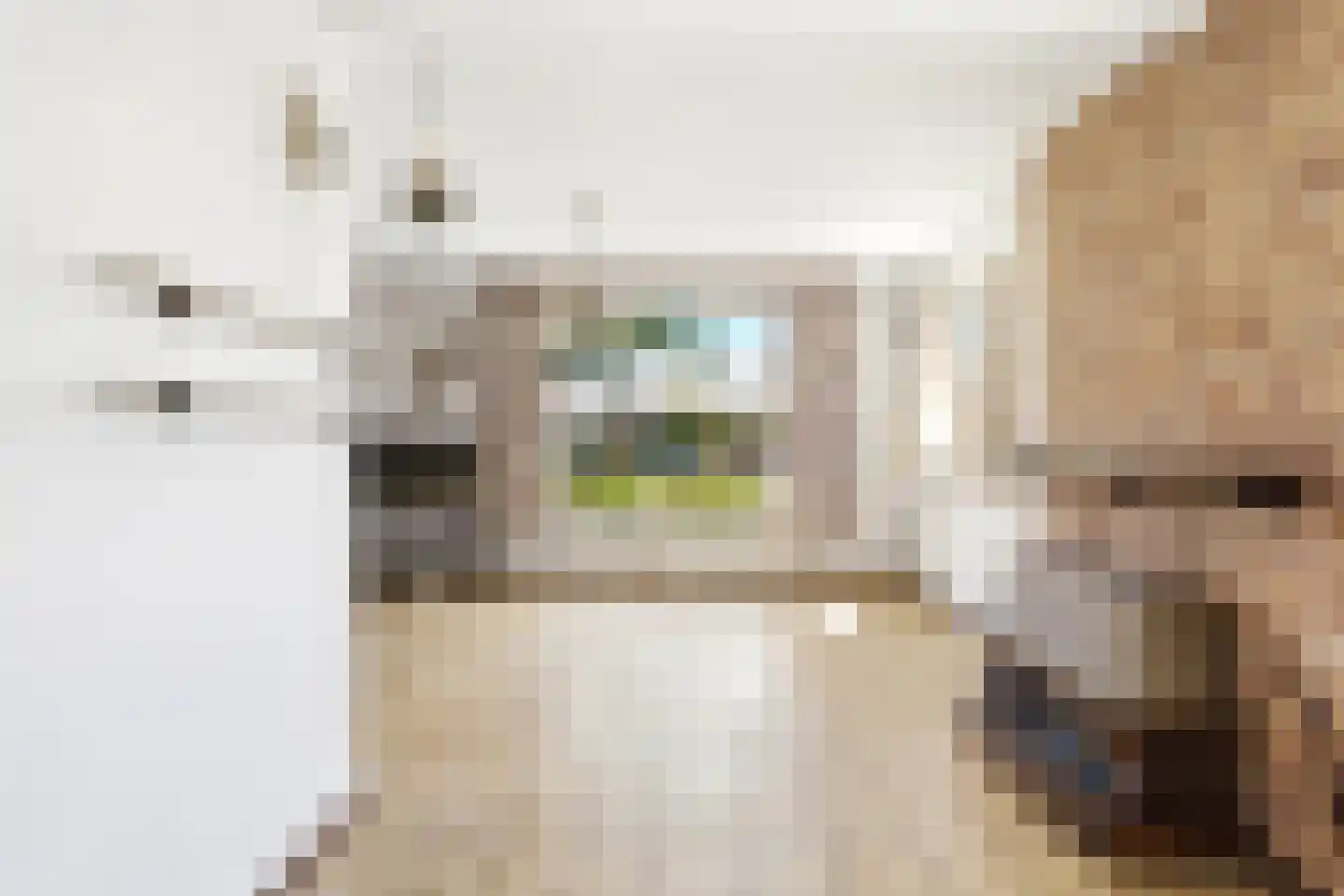 Wilhelminastraat 12 Mill thumbnail 4