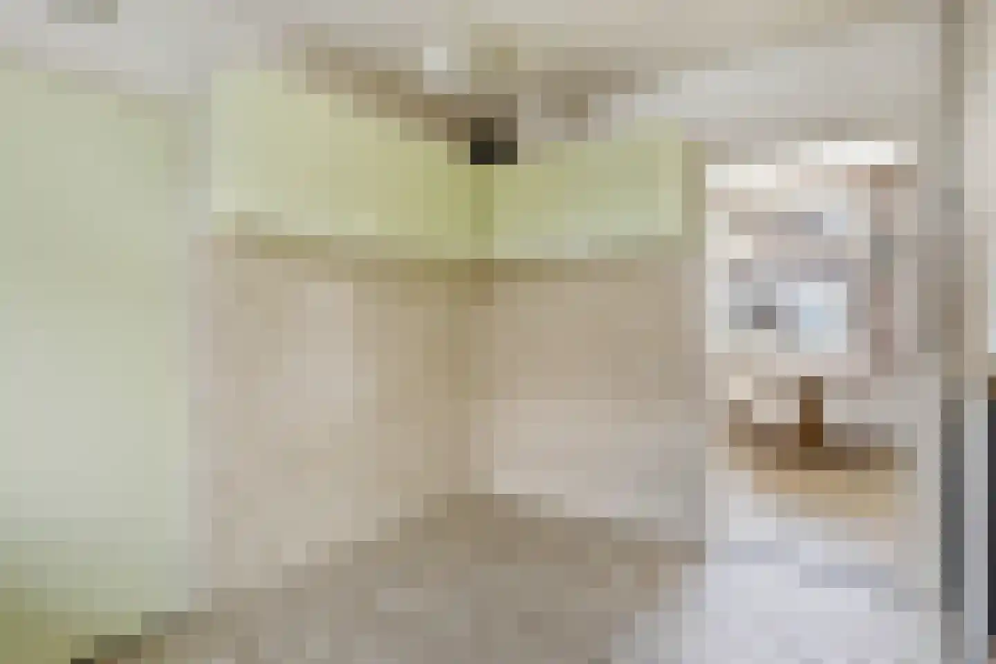 Wilhelminastraat 12 Mill thumbnail 8