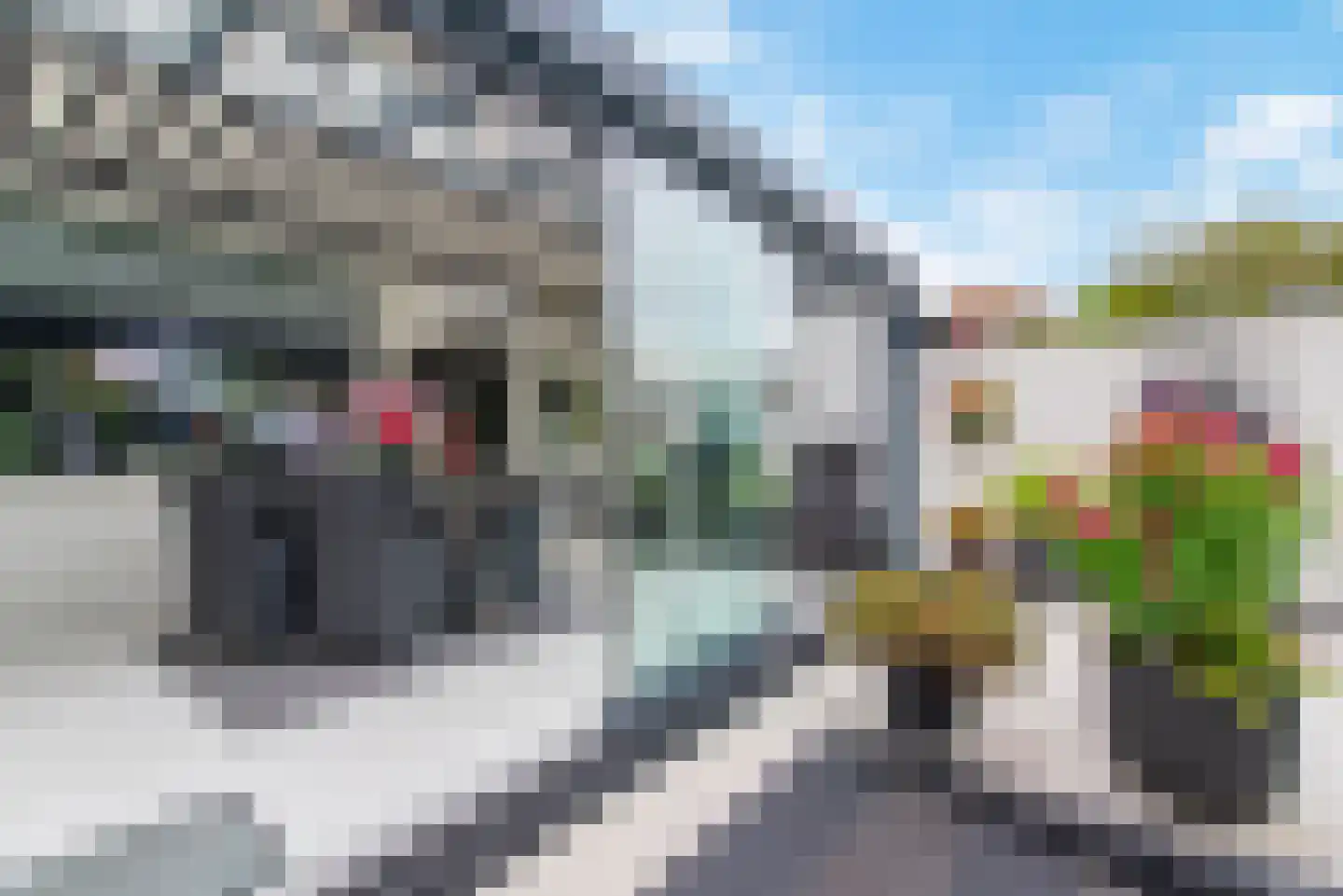 Wilhelminastraat 12 Veenendaal thumbnail 31