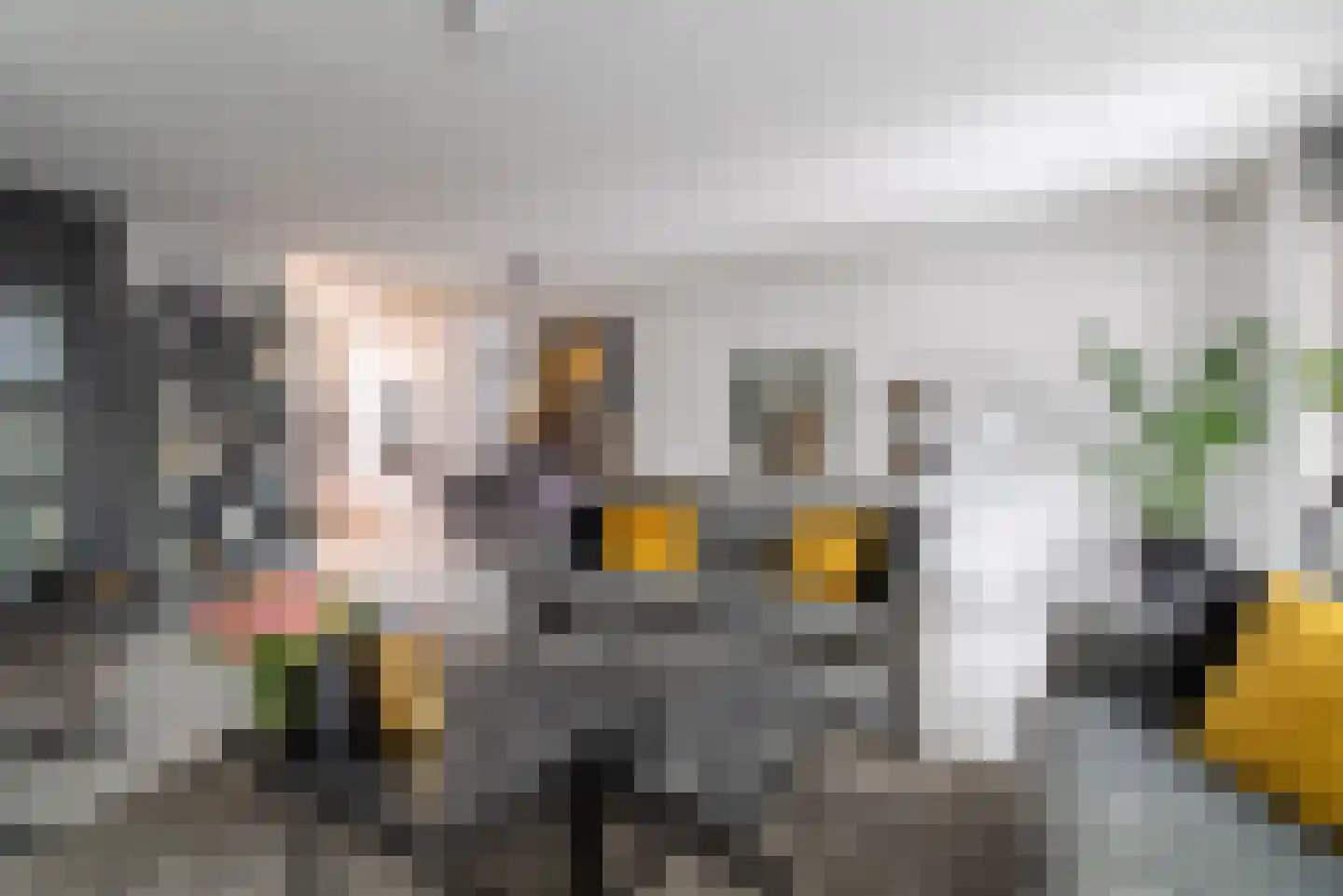 Wilhelminastraat 12 Veenendaal thumbnail 6