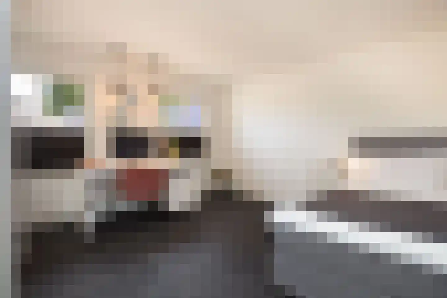 Wilhelminastraat 12 Waalwijk thumbnail 19