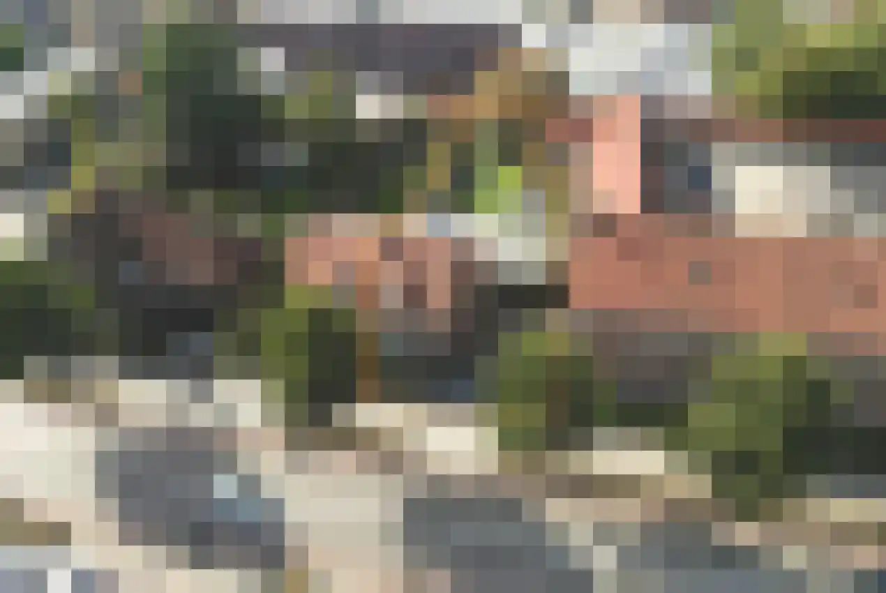 Wilhelminastraat 12 Waalwijk thumbnail 4