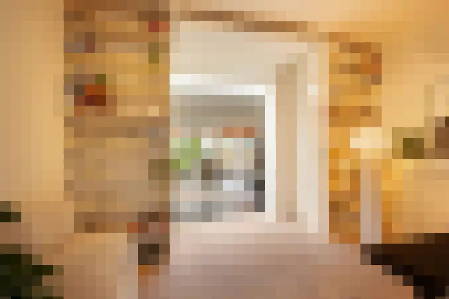 Wilhelminastraat 12 Waalwijk thumbnail 7
