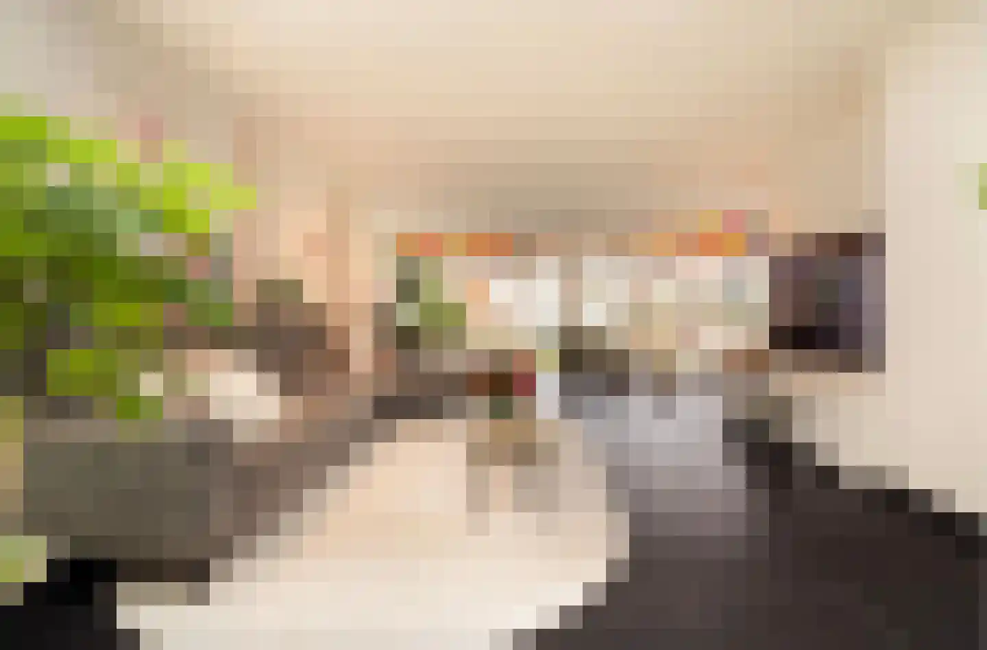 Wilhelminastraat 12 Waalwijk thumbnail 8