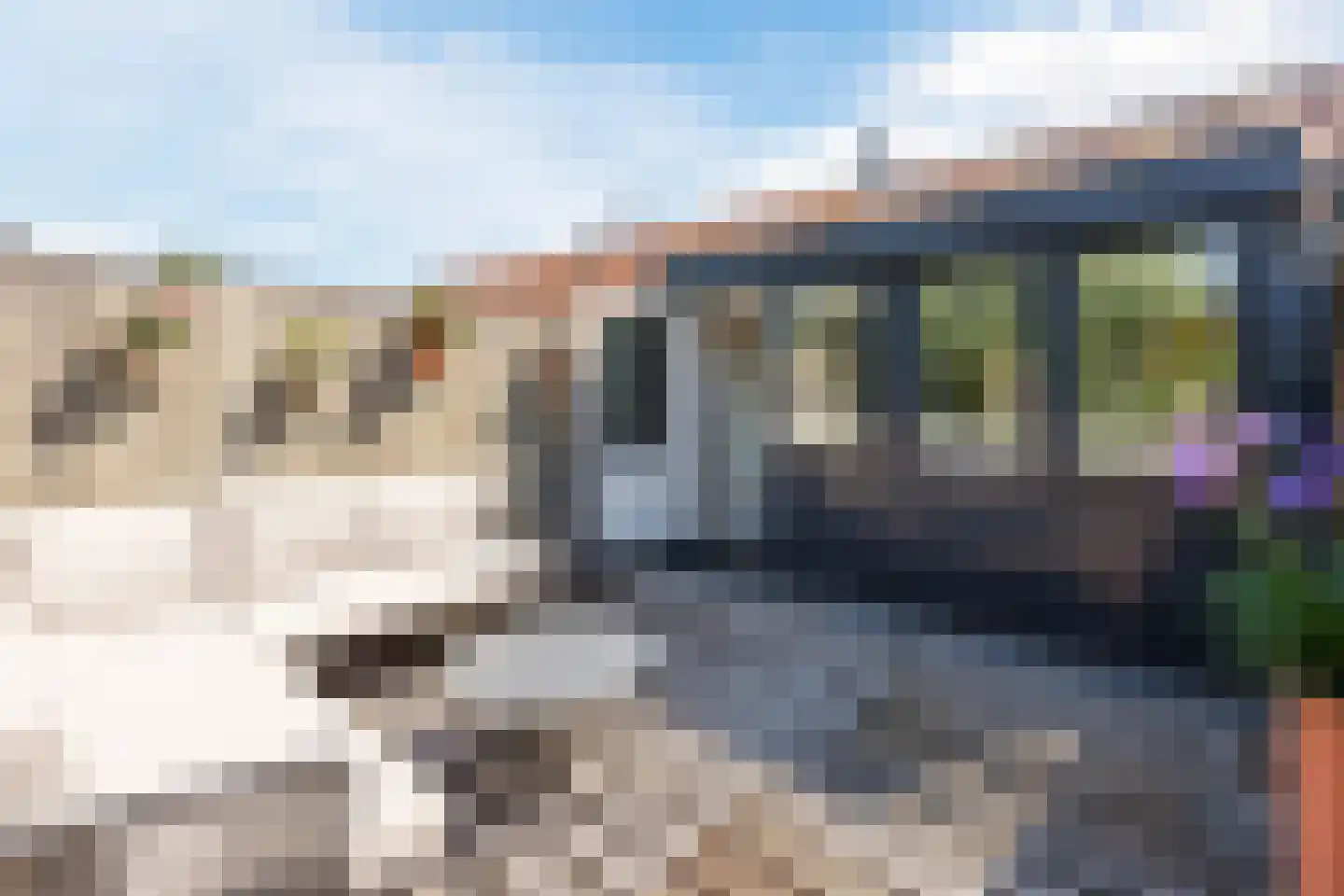 Wilhelminastraat 12 Weesp thumbnail 26