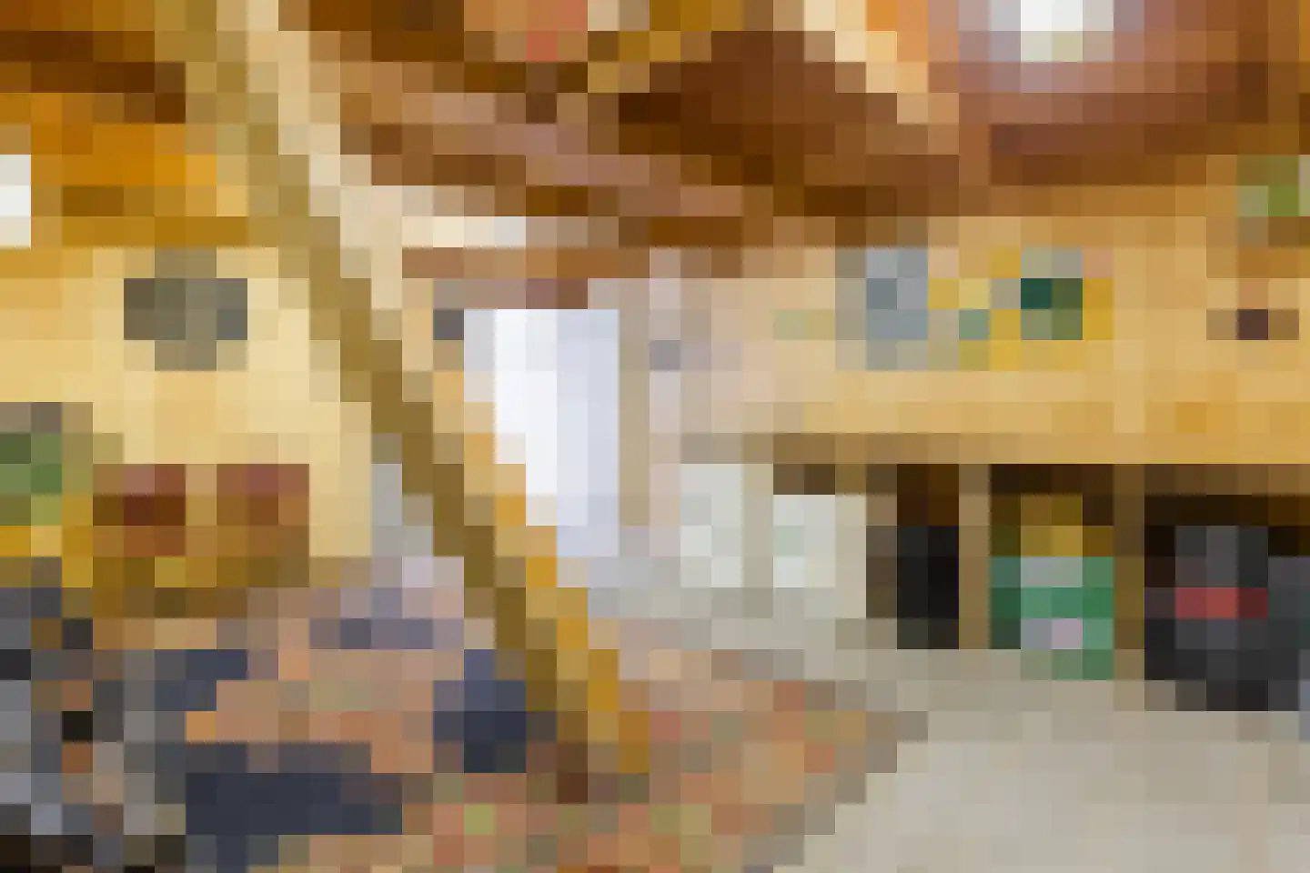 Wilhelminastraat 12 Weesp thumbnail 30