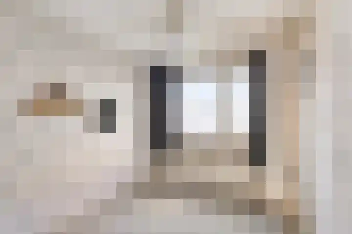 Wilhelminastraat 12 Wemeldinge thumbnail 15