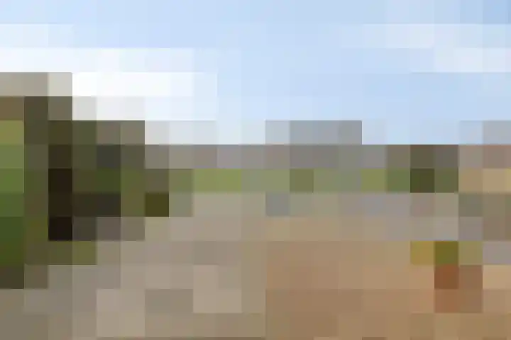 Wilhelminastraat 12 Wemeldinge thumbnail 20