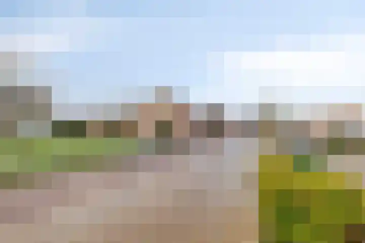 Wilhelminastraat 12 Wemeldinge thumbnail 21