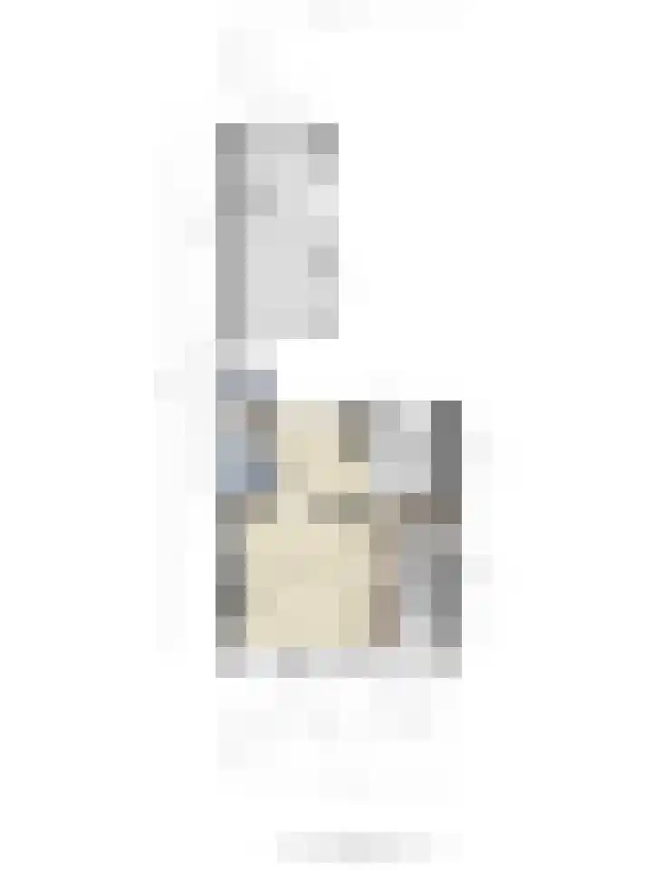 Wilhelminastraat 12 Wemeldinge thumbnail 22