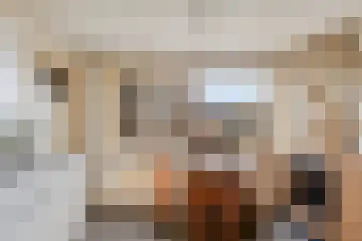 Wilhelminastraat 12 Wemeldinge thumbnail 8