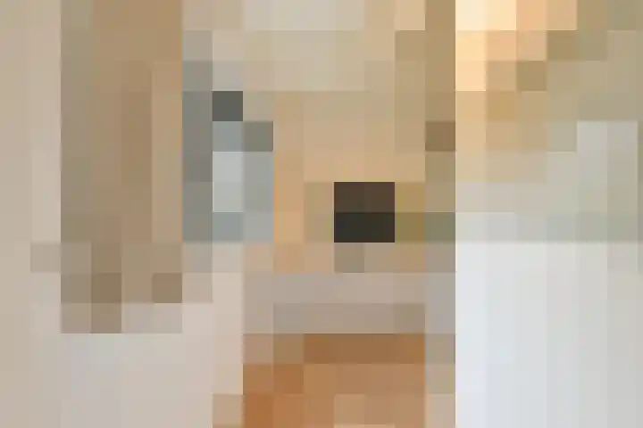 Wilhelminastraat 127 H Amsterdam thumbnail 13