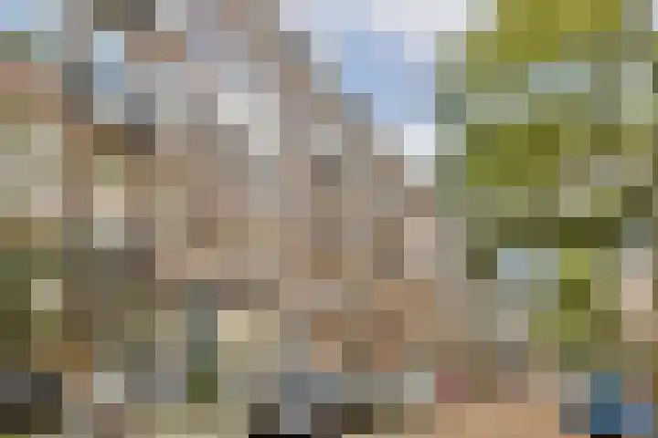 Wilhelminastraat 127 H Amsterdam thumbnail 19