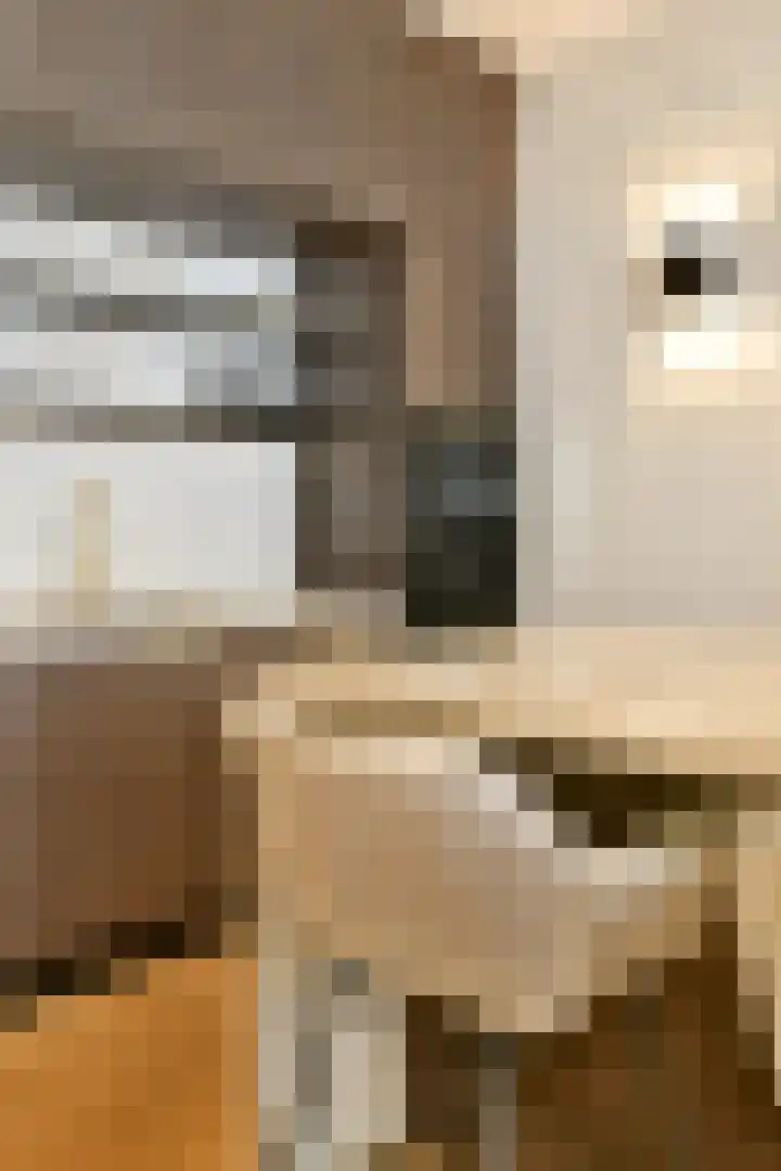Wilhelminastraat 127 H Amsterdam thumbnail 4