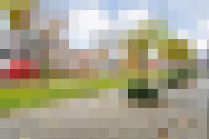 Wilhelminastraat 128 Hoogeveen thumbnail 34