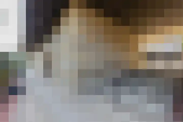 Wilhelminastraat 13 5 Sittard thumbnail 10