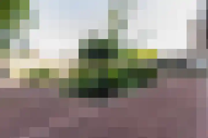 Wilhelminastraat 13 5 Sittard thumbnail 11