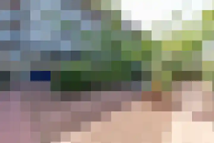 Wilhelminastraat 13 5 Sittard thumbnail 12