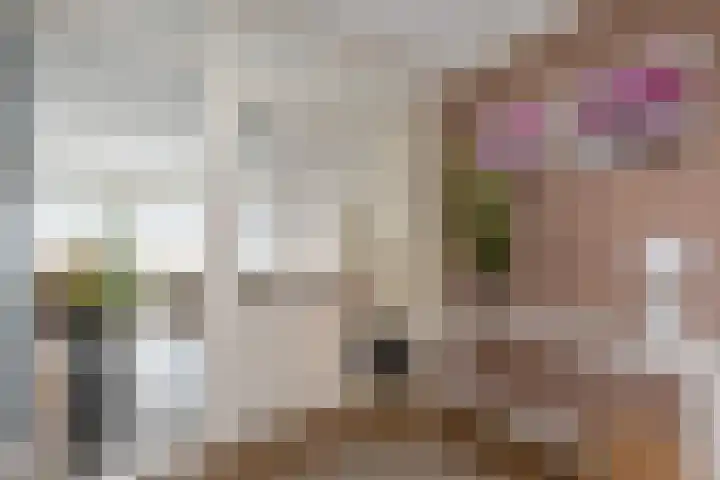 Wilhelminastraat 13 5 Sittard thumbnail 16
