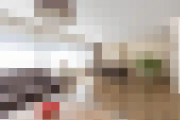 Wilhelminastraat 13 5 Sittard thumbnail 20