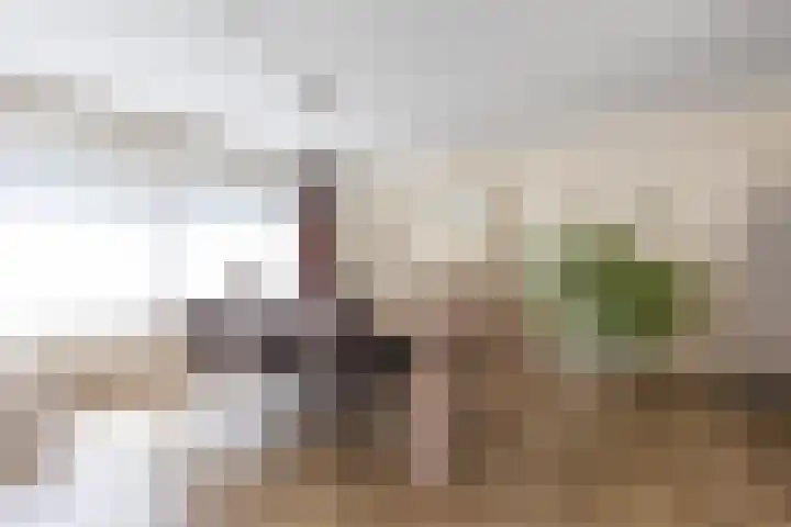 Wilhelminastraat 13 5 Sittard thumbnail 21