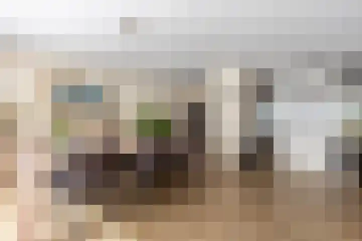 Wilhelminastraat 13 5 Sittard thumbnail 23