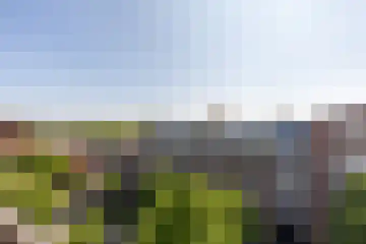 Wilhelminastraat 13 5 Sittard thumbnail 36