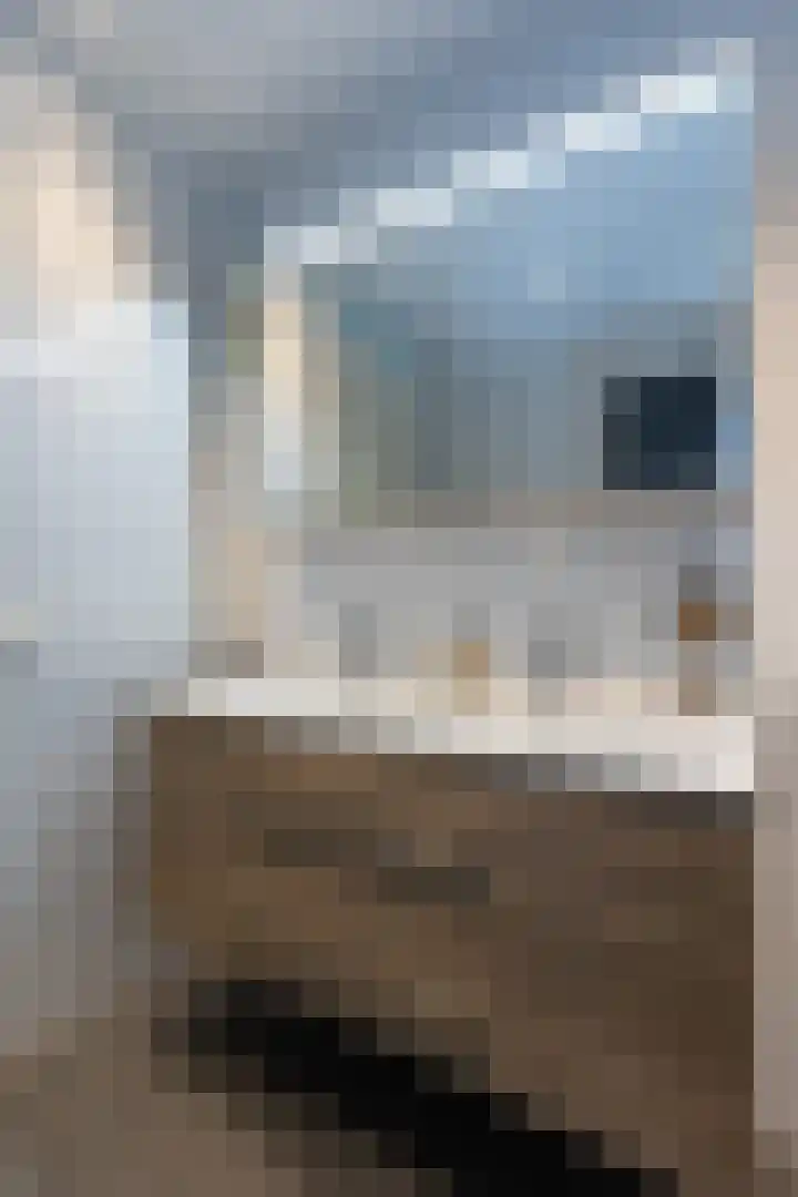 Wilhelminastraat 13 5 Sittard thumbnail 36