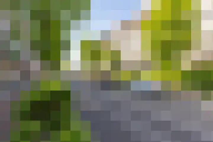 Wilhelminastraat 13 5 Sittard thumbnail 37