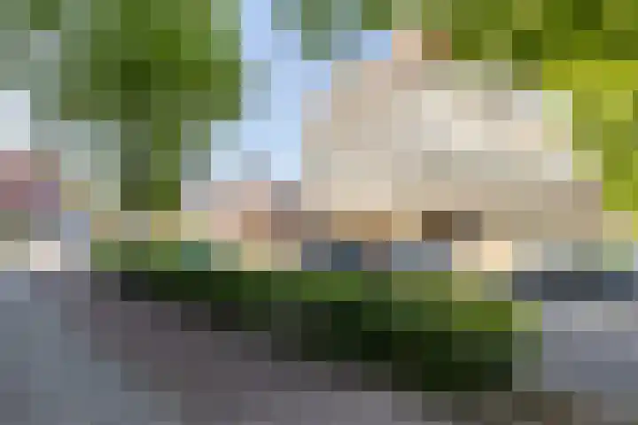 Wilhelminastraat 13 5 Sittard thumbnail 38
