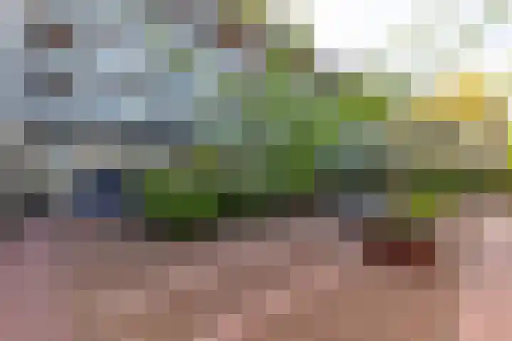 Wilhelminastraat 13 5 Sittard thumbnail 4