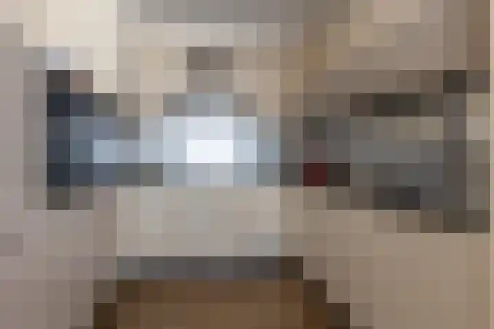 Wilhelminastraat 13 5 Sittard thumbnail 4