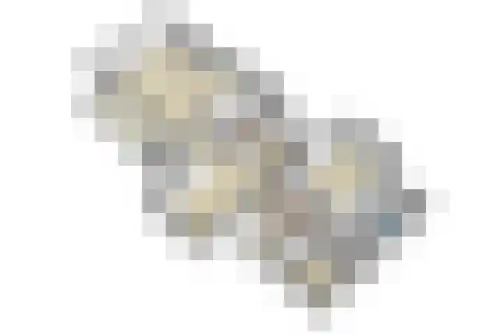 Wilhelminastraat 13 5 Sittard thumbnail 42
