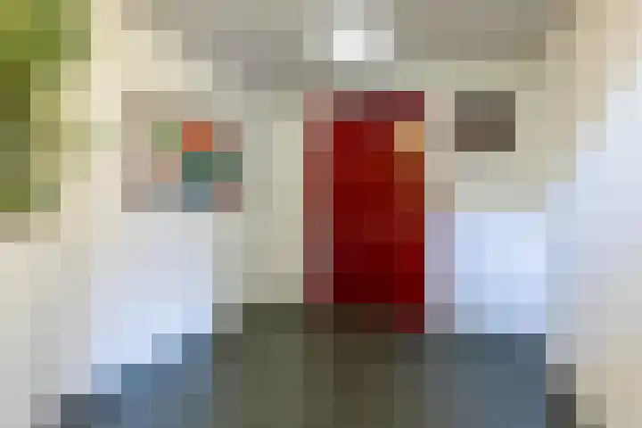 Wilhelminastraat 13 5 Sittard thumbnail 6