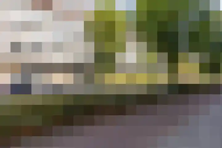 Wilhelminastraat 13 5 Sittard thumbnail 7