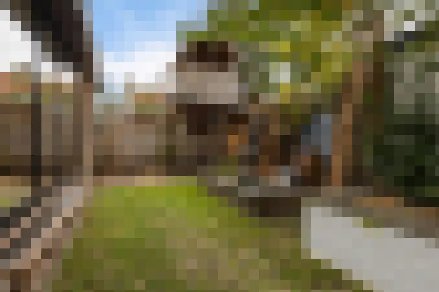 Wilhelminastraat 13 Berlicum thumbnail 36