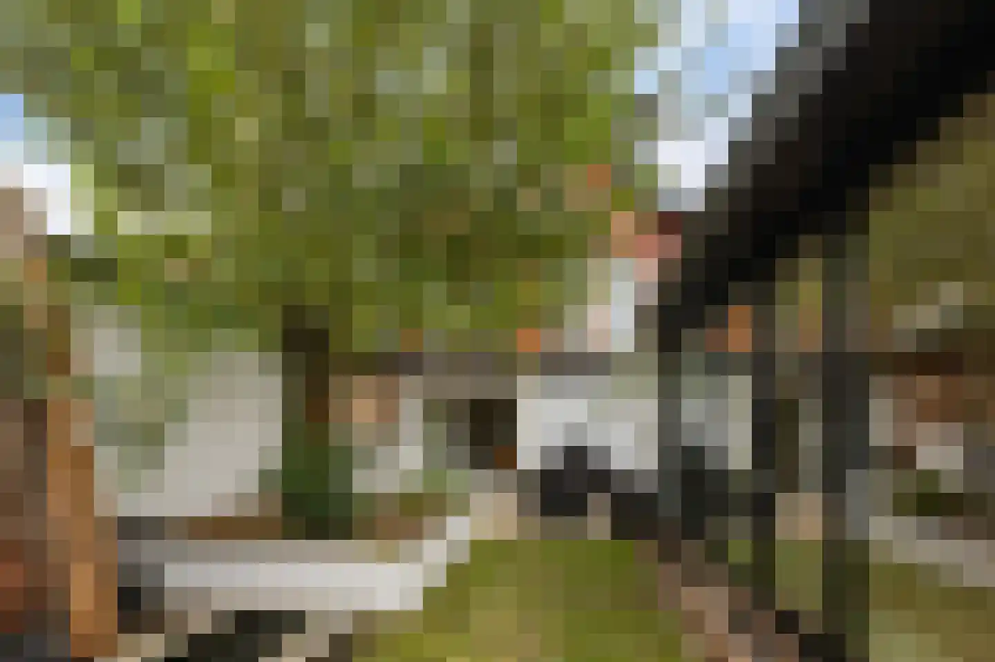 Wilhelminastraat 13 Berlicum thumbnail 37