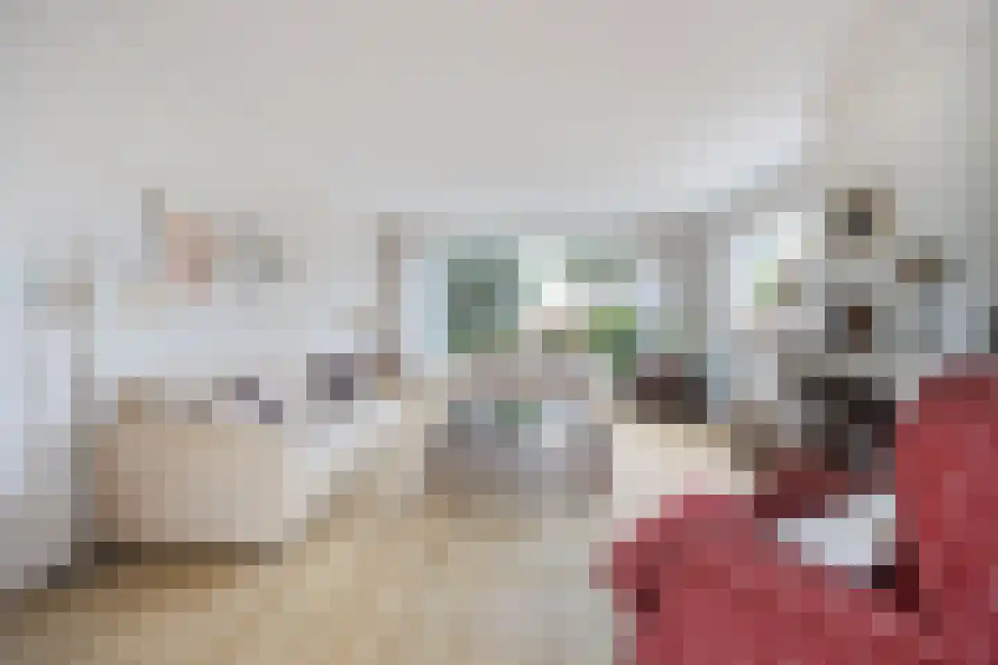 Wilhelminastraat 13 Bosschenhoofd thumbnail 10