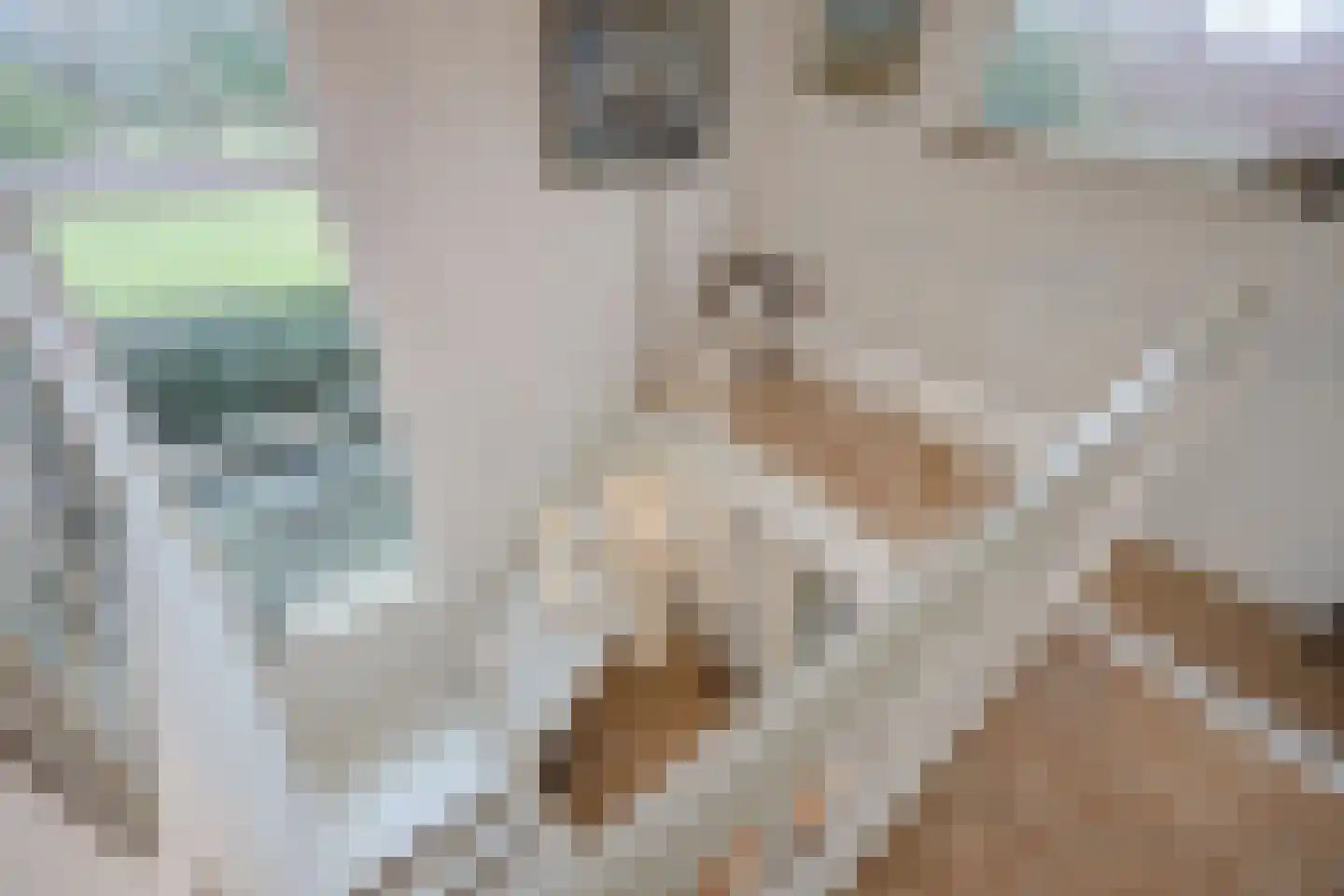 Wilhelminastraat 13 Bosschenhoofd thumbnail 22