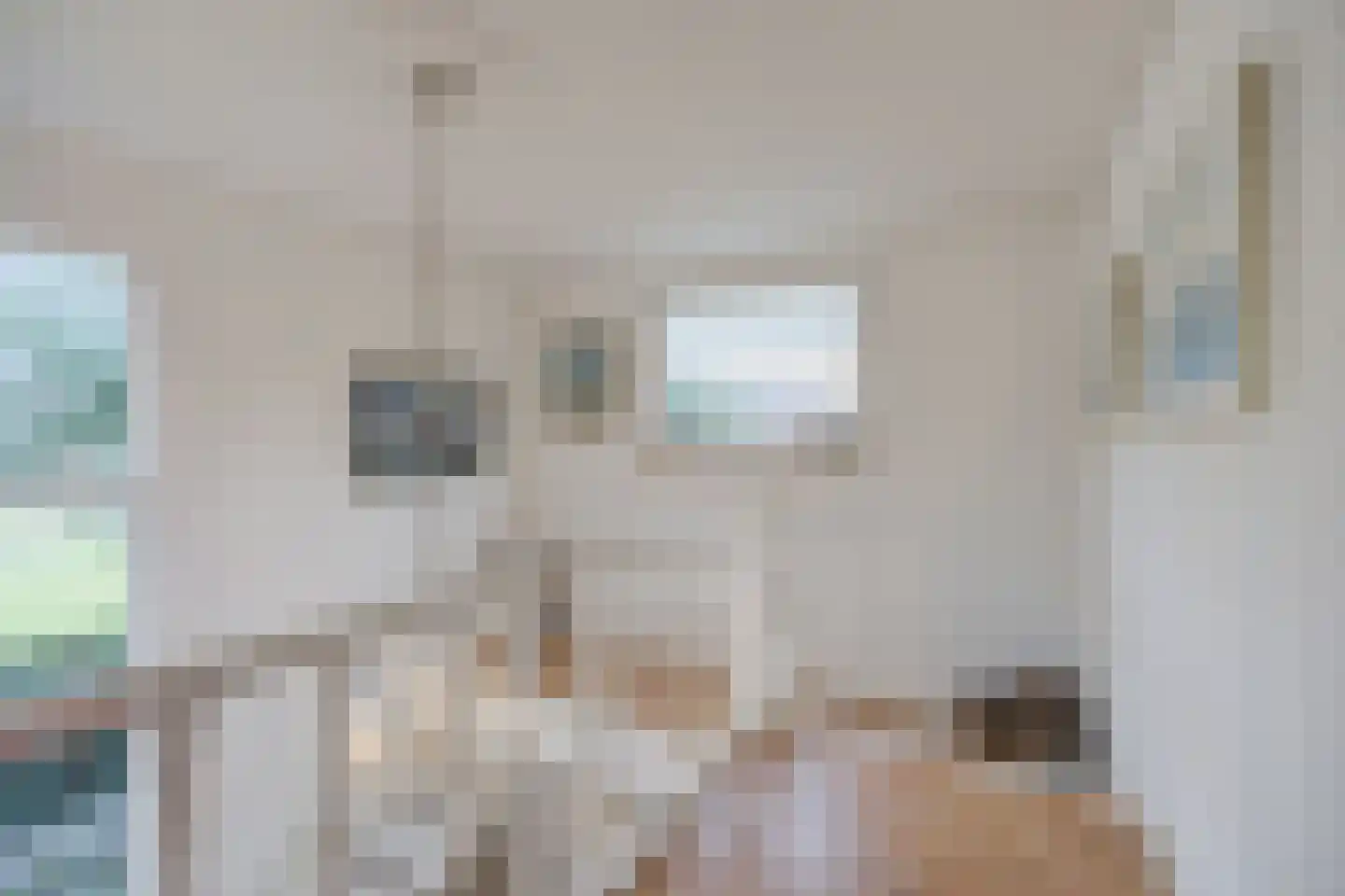 Wilhelminastraat 13 Bosschenhoofd thumbnail 23