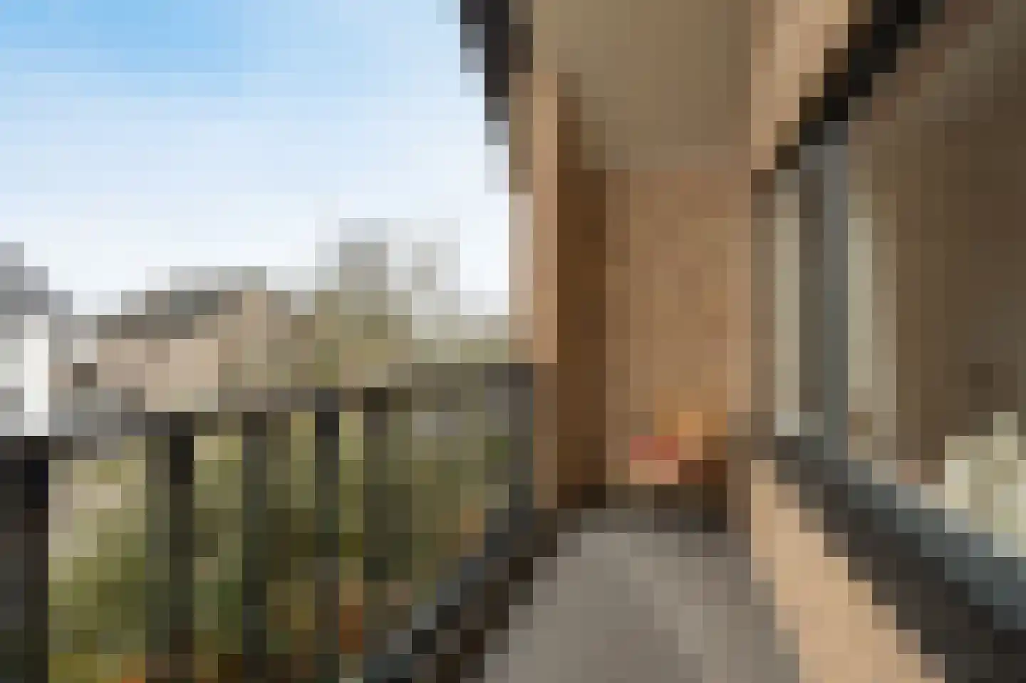Wilhelminastraat 13 Bosschenhoofd thumbnail 27